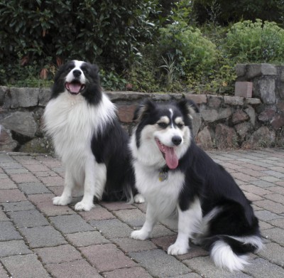 Jock & Katy (07/2010)