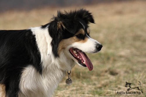 Katy - 03/2011
