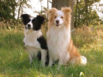 Smarti & Micky