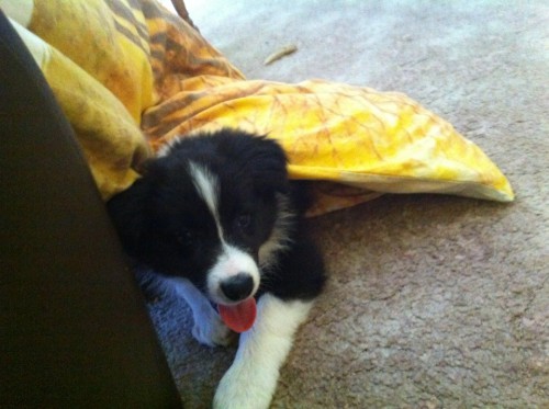 Aiko - "Taky hrajeme na schovku :) "