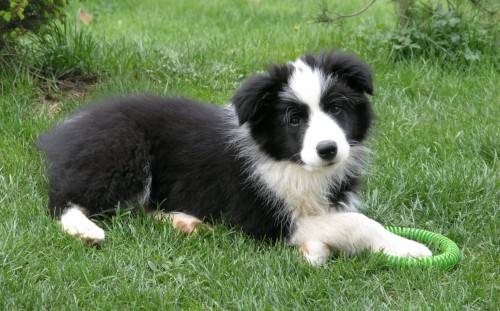 Aaron Happy Poneka - 13 týdnů