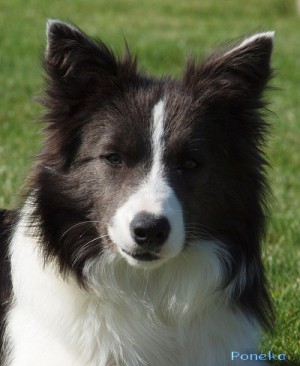 Dixi - 8 měsíců / months