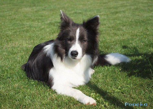 Dixi - 8 měsíců / months