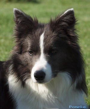 Dixi - 8 měsíců / months