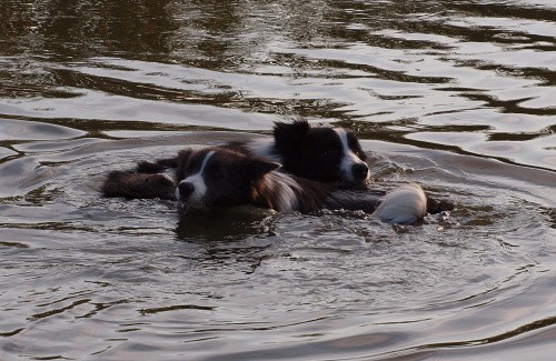kliknutím na obrázek vstoupíte do galerie Bonyho