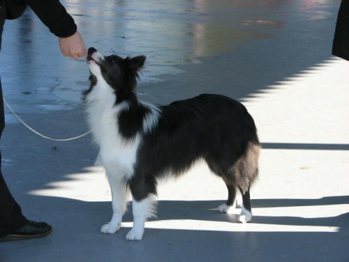 Dixi - 8,5 měsíců / months